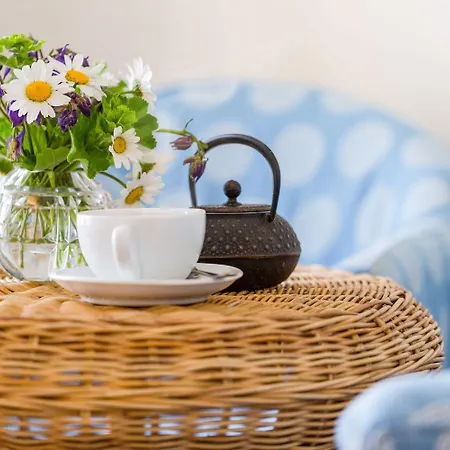 Boutique Seegarten فندق